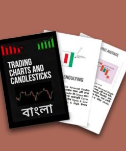 Stock market books in bengali